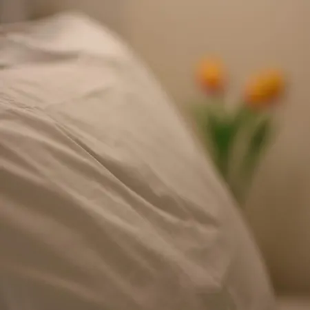 Maremo - In Bed and breakfast Tropea