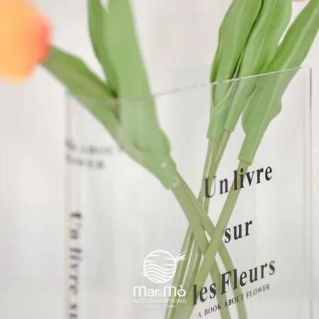 Maremo - In Bed and breakfast Tropea