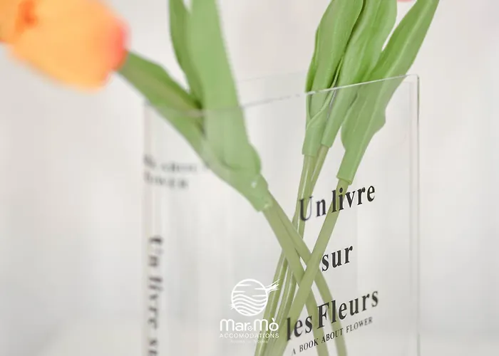 Maremo - In Frühstückspension Tropea