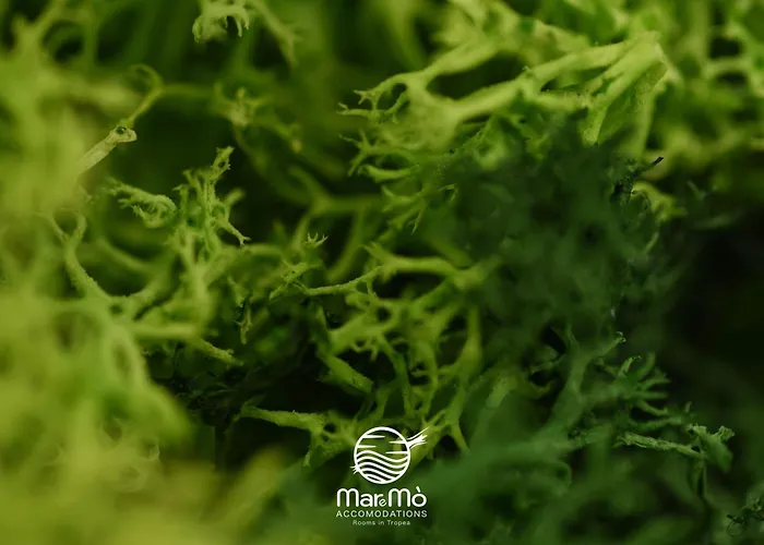 Maremò - In Alojamento de Acomodação e Pequeno-almoço