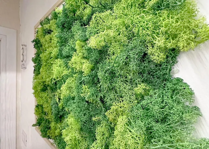 Frühstückspension Maremo - In Tropea